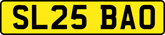 SL25BAO