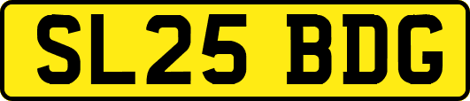 SL25BDG