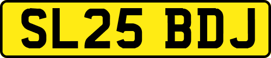 SL25BDJ