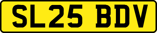 SL25BDV