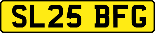 SL25BFG