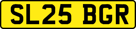 SL25BGR