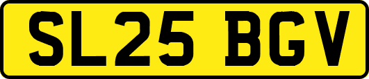 SL25BGV
