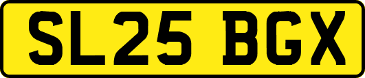 SL25BGX