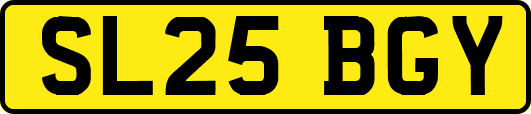 SL25BGY