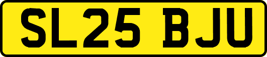 SL25BJU