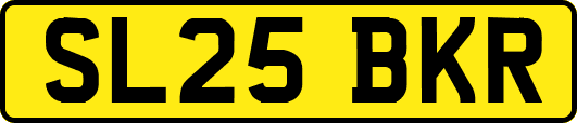 SL25BKR