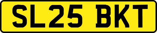 SL25BKT