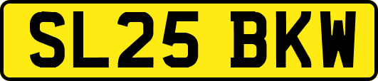 SL25BKW