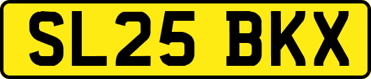 SL25BKX
