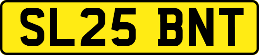 SL25BNT