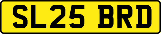 SL25BRD
