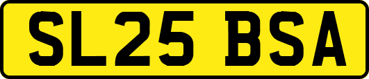 SL25BSA