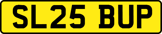 SL25BUP