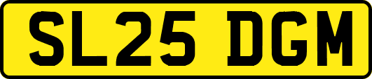 SL25DGM