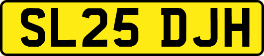 SL25DJH