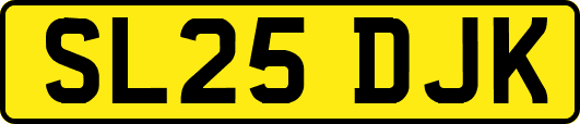 SL25DJK