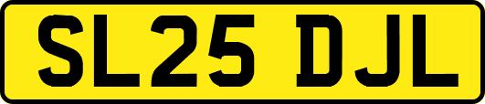 SL25DJL