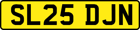 SL25DJN
