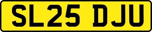 SL25DJU