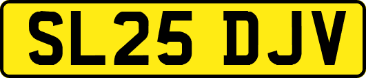 SL25DJV