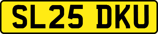 SL25DKU