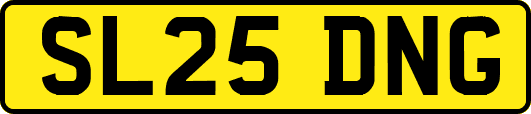 SL25DNG