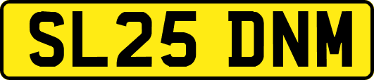 SL25DNM