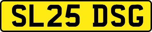 SL25DSG