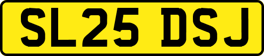 SL25DSJ