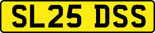 SL25DSS
