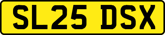 SL25DSX
