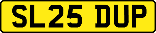 SL25DUP