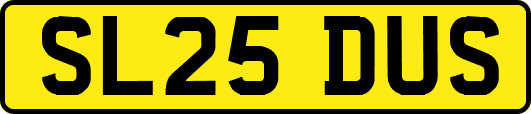 SL25DUS