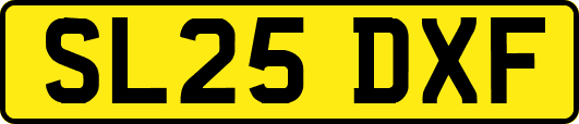SL25DXF