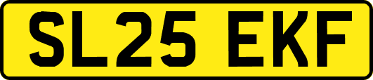 SL25EKF