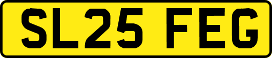 SL25FEG