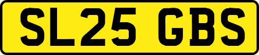 SL25GBS
