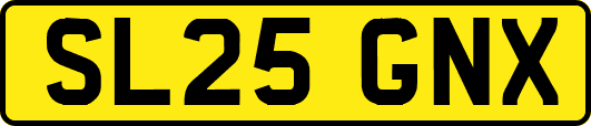 SL25GNX