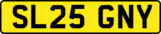 SL25GNY