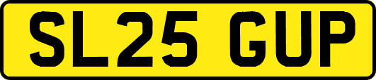 SL25GUP