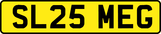 SL25MEG