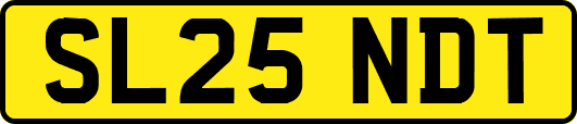 SL25NDT