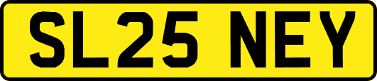 SL25NEY