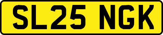 SL25NGK