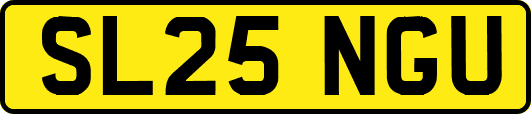SL25NGU
