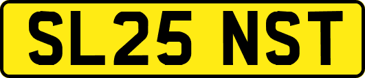 SL25NST