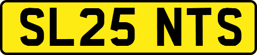 SL25NTS