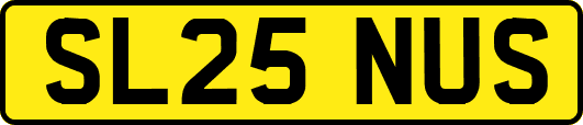 SL25NUS