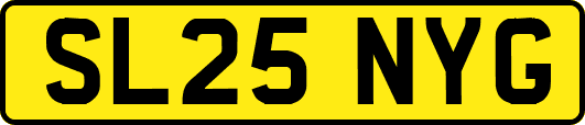 SL25NYG